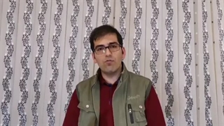 غذارسانی به سگ های ولگرد چرا غلط است