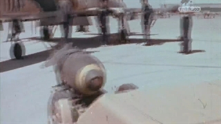 آشنایی با کاموفلاژ تایگرهای نیروی هوایی ارتش