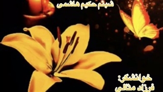 دلبستگی... کاری از گروه ادبیات آناهید، نویسنده: شبنم حکیم هاشمی، خوانشگر: فرزاد مثالی، نوازنده: سینا شاهی