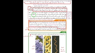 فصل 11 علوم نهم گوناگونی جانداران (بخش دوم)
