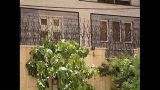 حفاظ شاخ گوزنی حفاظ دات کام