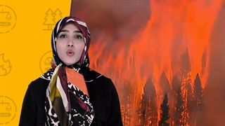 آتش سوزی جنگلها