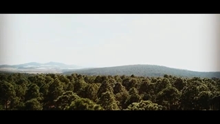 Distant Dream - Reflection