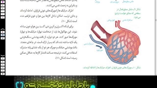 جلسه بیست و دوم