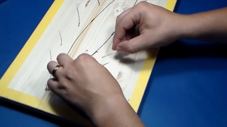 ایجاد امواج دریا در دایوراما