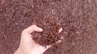 ورمی کمپوست