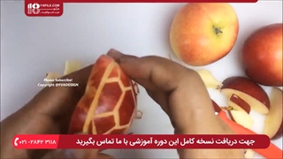 آموزش ایده های زیبا برای سفره آرایی شب یلدا