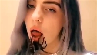 بیلی با حیون خونگیش