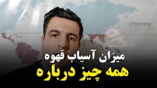 همه چیز درباره آسیاب قهوه