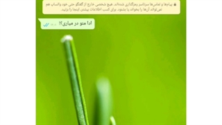 ادای منو در میاری؟!