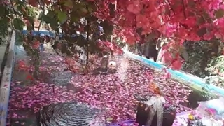 جاذبه های گردشگری یزد