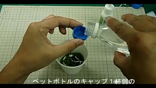 ساخت درخت مینیاتوری