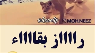 تهههههه صدا گذاریه خفن(پیشنهادی)