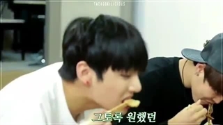 ته به کوک: « بهم غذا بده»