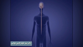 فیلم آسیب ستون فقرات