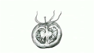 ژوژمان کارگاه گرافیک هنرجویان هنرستان ولایت ناحیه 3 کرج