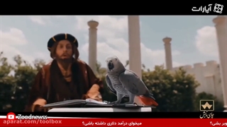 بهشت / مجتبی شفیعی ۳ اینسایزینگ