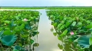 تالاب زیبای انزلی