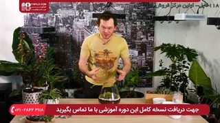 نحوه نگهداری از تراریوم خزه و کاکتوس نیمه باز