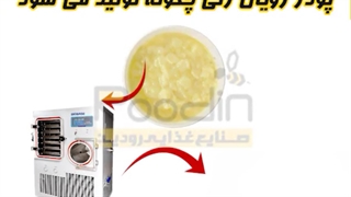 معرفی پودر و کپسول ژل رویال