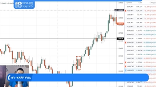 آموزش نصب مفید تریدر و متاتریدر _ یادگیری فارکس