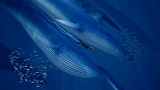 بازی Abzu رایگان میشود