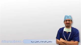سلامتی کلیه ها در فصل سرما