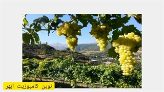 چرا باید از تیرچه های کامپوزیتی استفاده کرد؟