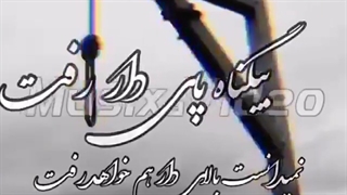 بیگناه پای دار رفت