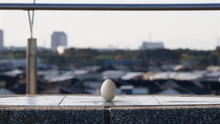 قسمت ۱۱ انیمه زیبای wonder egg priority