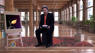 شعر محمدعلی بهمنی در برنامه بهار بهار