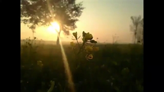 شب جمعه
