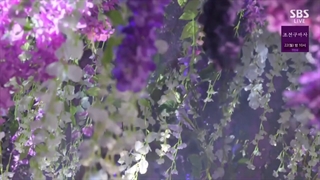 اجرای Gone & On the ground از Rose