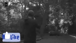 آیا حاضر هستید به این 6 مکان ممنوع شده که حتی جرات دیدن آنها را ندارید سفر کنید ؟