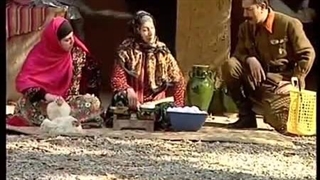 شب های برره