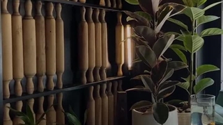 کافه روتی نیروهوایی