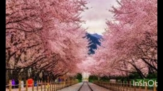 بهار ما دوست داریم اینجوری نکن دیگه بوس بهت پرنسس بهار