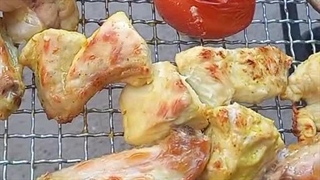 کباب پز چرخشی معین