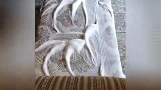 مبل شویی گل پونه ها تهران