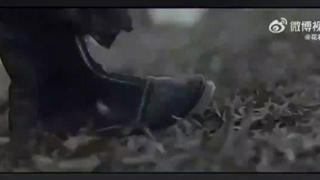 فصل دوم افسانه شیان ، شیان فان باز خواهد گشت(خواهش میکنم سریال چینی تصنیف طولانی2021 رو به شبکه سه درخواست بدید)