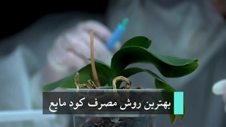 آموزش نحوه و زمان صحیح استفاده از کود مایع ، کوتاه و حرفه ای