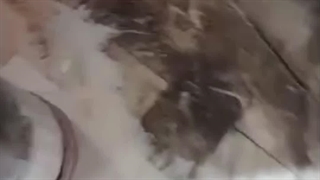 کف سابی در کرج