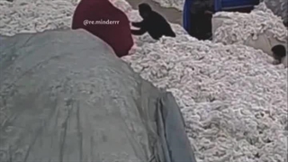 حکایت آتش و پنبه......