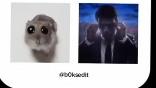 قوددرت زبان ها