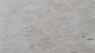 کف سابی استخر