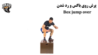 آموزش حرکت Box Jump Over در کراسفیت | قدرت انفجاری و چابکی