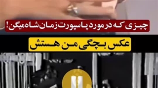 واقعیت های «پاسپورت زمان شاه» در فیلم «ممل آمریکایی»!