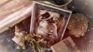 دانلود پروژه افترافکت گالری عکس روز عروسی Wedding Day Gallery