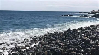 پارت هفدهم رمان THE EDICTION (اعتیاد)