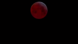 چون منو یاد بینا میندازه (-: